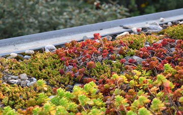 the cost of Waen Fach green roof installation
