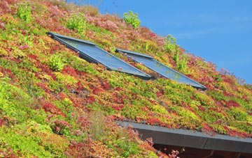 Waen Fach living roof systems